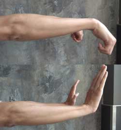Wrist Flexion Extension 2